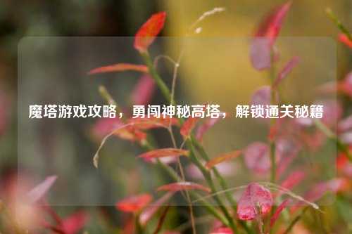 魔塔游戏攻略,勇闯神秘高塔,解锁通关秘籍