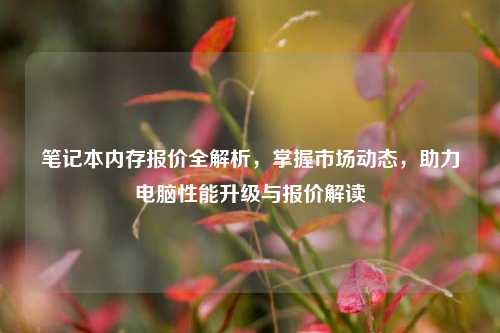 笔记本内存报价全解析,掌握市场动态,助力电脑性能升级与报价解读