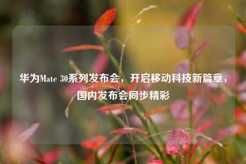 华为Mate 30系列发布会,开启移动科技新篇章,国内发布会同步精彩