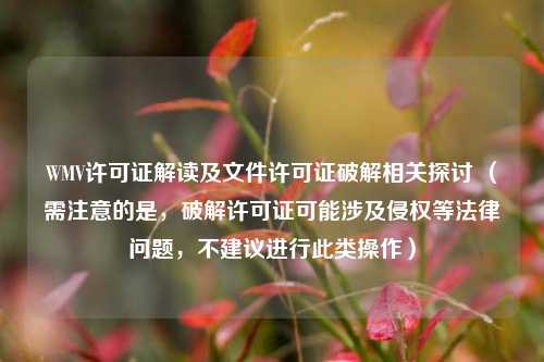 WMV许可证解读及文件许可证破解相关探讨 (需注意的是,破解许可证可能涉及侵权等法律问题,不建议进行此类操作)