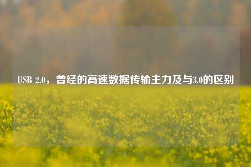 USB 2.0,曾经的高速数据传输主力及与3.0的区别