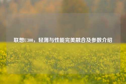 联想U300,轻薄与性能完美融合及参数介绍
