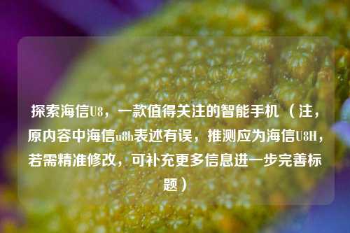 探索海信U8,一款值得关注的智能手机 (注,原内容中海信u8h表述有误,推测应为海信U8H,若需精准修改,可补充更多信息进一步完善标题)