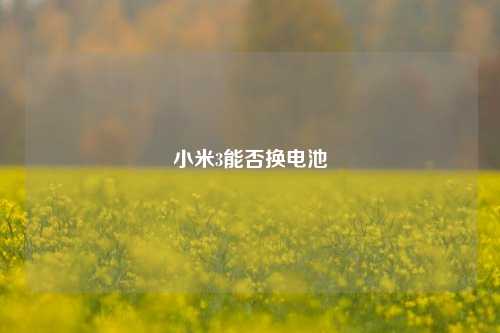 小米3能否换电池