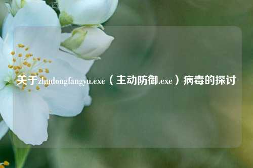 关于zhudongfangyu.exe（主动防御.exe）病毒的探讨