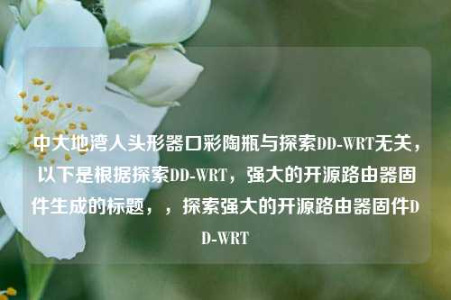 中大地湾人头形器口彩陶瓶与探索DD-WRT无关,以下是根据探索DD-WRT,强大的开源路由器固件生成的标题,,探索强大的开源路由器固件DD-WRT