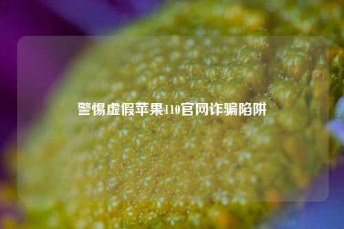 警惕虚假苹果110官网诈骗陷阱