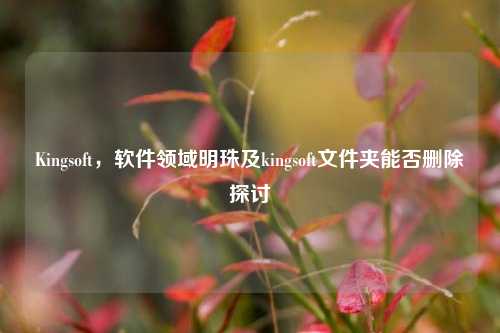 Kingsoft,软件领域明珠及kingsoft文件夹能否删除探讨