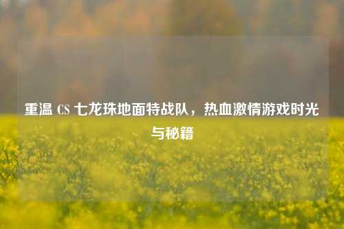 重温 CS 七龙珠地面特战队,热血激情游戏时光与秘籍