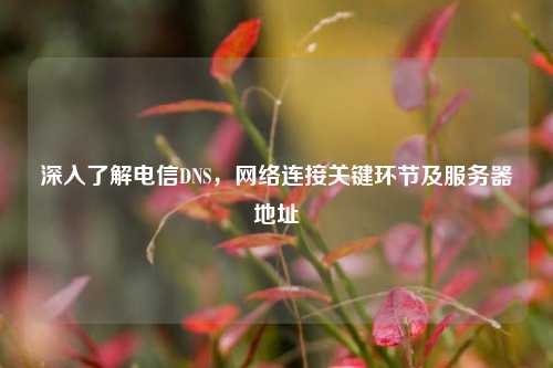 深入了解电信DNS，网络连接关键环节及服务器地址