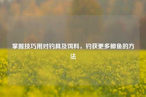 掌握技巧用对钓具及饵料,钓获更多鲫鱼的方法