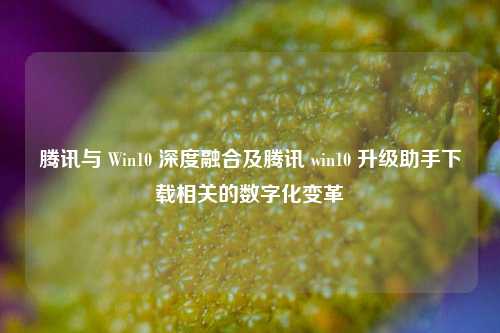 腾讯与 Win10 深度融合及腾讯 win10 升级助手下载相关的数字化变革