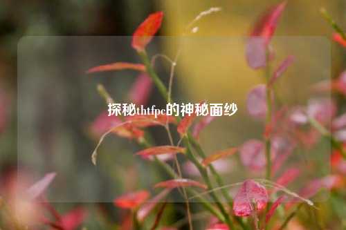 探秘thtfpc的神秘面纱