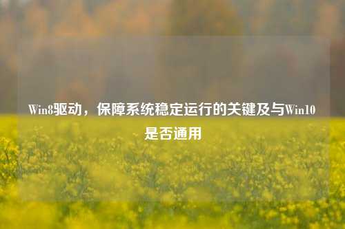 Win8驱动,保障系统稳定运行的关键及与Win10是否通用