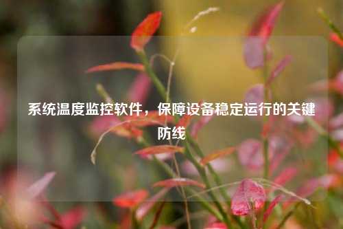 系统温度监控软件，保障设备稳定运行的关键防线
