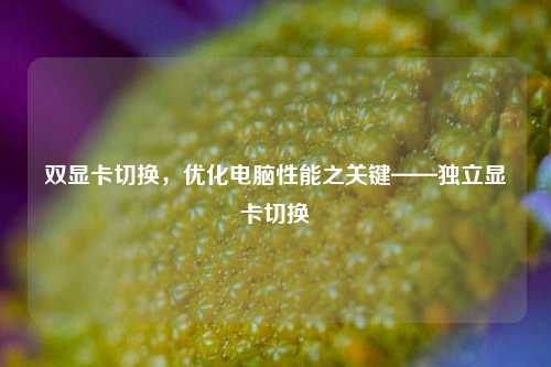 双显卡切换,优化电脑性能之关键——独立显卡切换