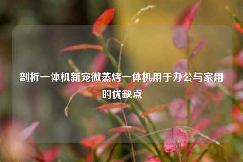 剖析一体机新宠微蒸烤一体机用于办公与家用的优缺点