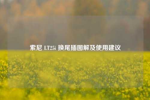 索尼 LT25i 换尾插图解及使用建议