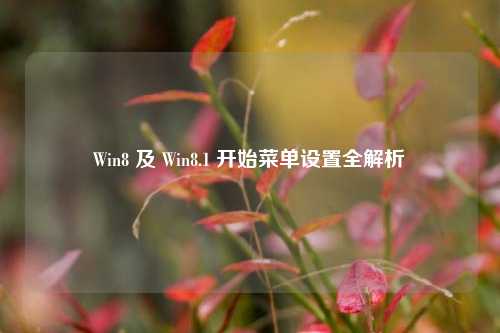 Win8 及 Win8.1 开始菜单设置全解析