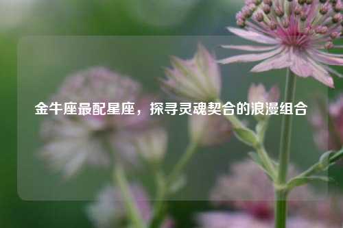 金牛座最配星座,探寻灵魂契合的浪漫组合
