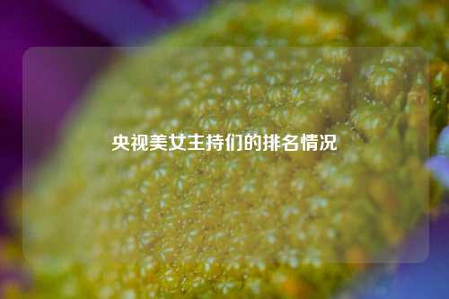 央视美女主持们的排名情况