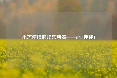 小巧便携的娱乐利器——iPad迷你4
