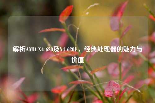 解析AMD X4 620及X4 620E,经典处理器的魅力与价值