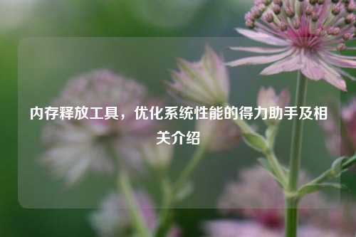 内存释放工具,优化系统性能的得力助手及相关介绍