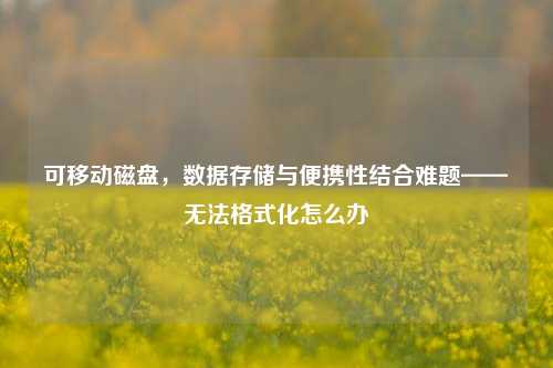 可移动磁盘,数据存储与便携性结合难题——无法格式化怎么办