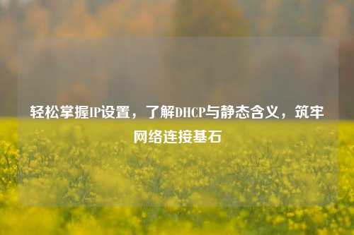 轻松掌握IP设置，了解DHCP与静态含义，筑牢网络连接基石