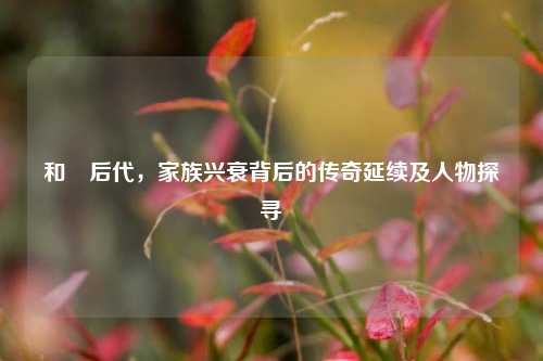 和珅后代，家族兴衰背后的传奇延续及人物探寻