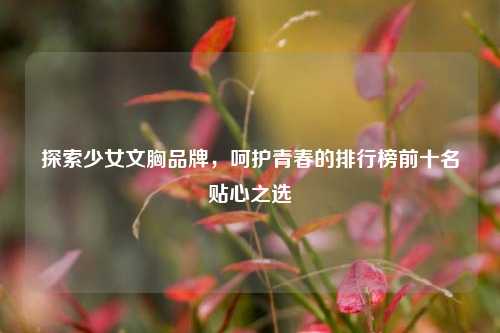 探索少女文胸品牌，呵护青春的排行榜前十名贴心之选
