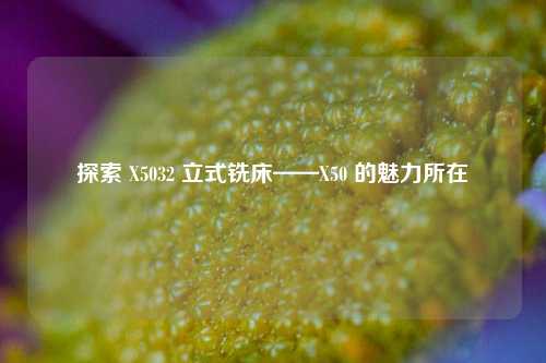 探索 X5032 立式铣床——X50 的魅力所在