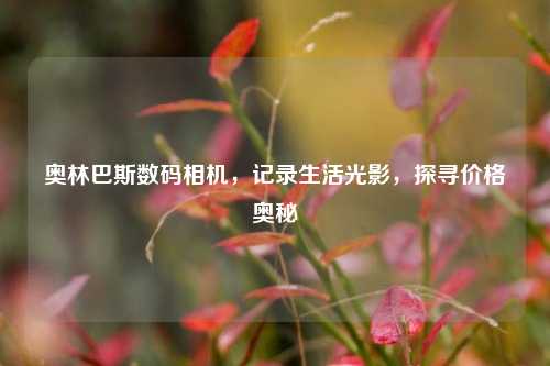 奥林巴斯数码相机,记录生活光影,探寻价格奥秘