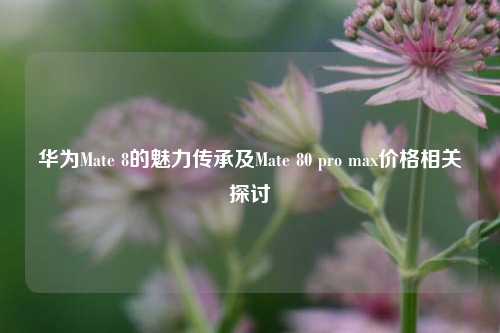 华为Mate 8的魅力传承及Mate 80 pro max价格相关探讨