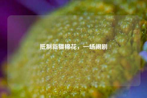 抵制新疆棉花，一场闹剧