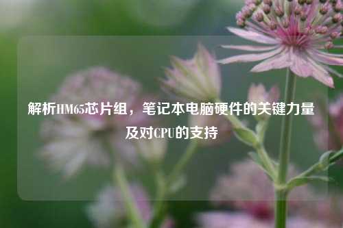 解析HM65芯片组,笔记本电脑硬件的关键力量及对CPU的支持