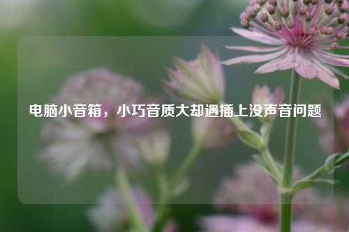 电脑小音箱,小巧音质大却遇插上没声音问题