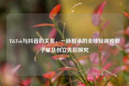 TikTok与抖音的关系,一脉相承的全球短视频双子星及创立先后探究
