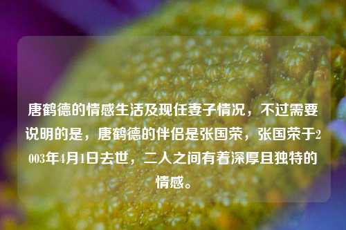 唐鹤德的情感生活及现任妻子情况,不过需要说明的是,唐鹤德的伴侣是张国荣,张国荣于2003年4月1日去世,二人之间有着深厚且独特的情感。
