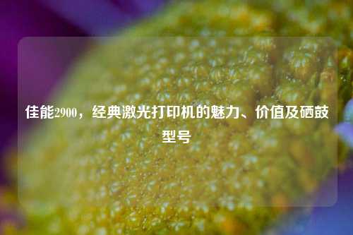 佳能2900，经典激光打印机的魅力、价值及硒鼓型号