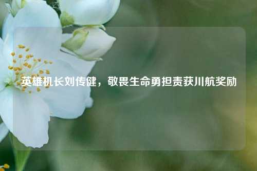 英雄机长刘传健，敬畏生命勇担责获川航奖励