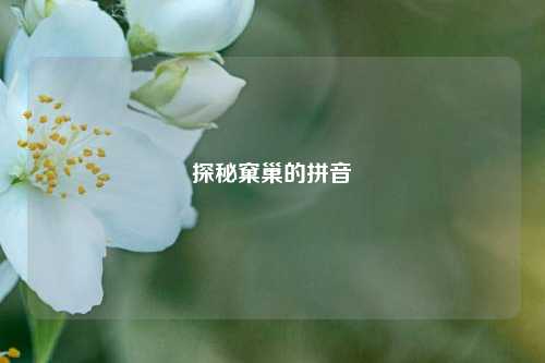 探秘窠巢的拼音