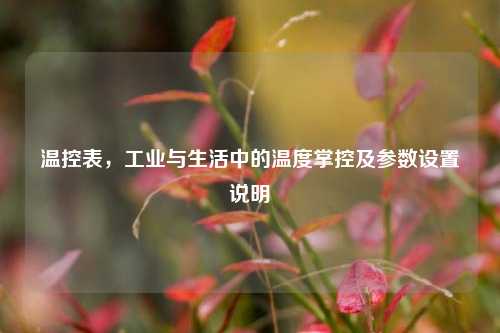 温控表,工业与生活中的温度掌控及参数设置说明