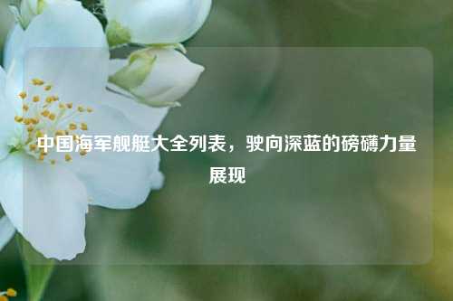 中国海军舰艇大全列表，驶向深蓝的磅礴力量展现