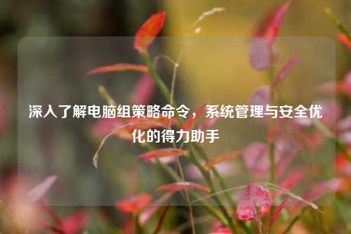 深入了解电脑组策略命令,系统管理与安全优化的得力助手