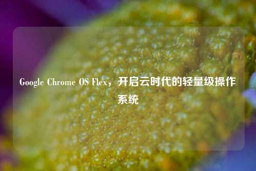 Google Chrome OS Flex,开启云时代的轻量级操作系统