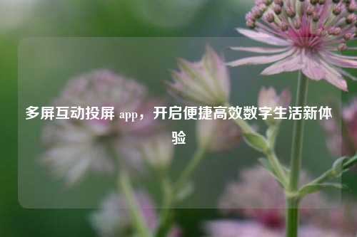 多屏互动投屏 app，开启便捷高效数字生活新体验