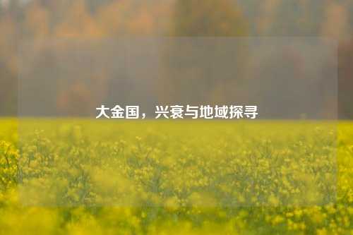 大金国,兴衰与地域探寻