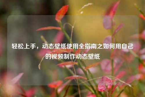 轻松上手,动态壁纸使用全指南之如何用自己的视频制作动态壁纸